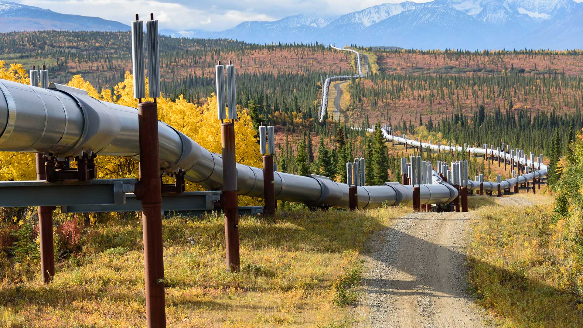 The Federal Energy Agencies: The Solution or the Problem?