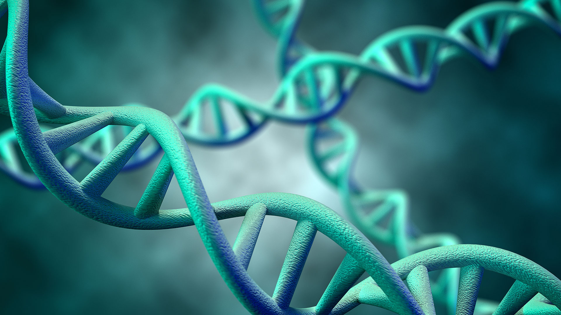 Releasing the Genetic Genie: How Risky?
