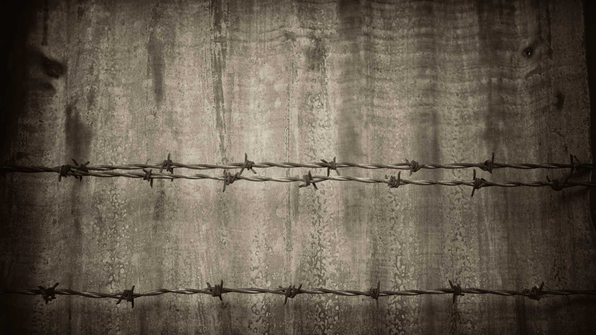 Forced Repatriation to the Soviet Union: The Secret Betrayal