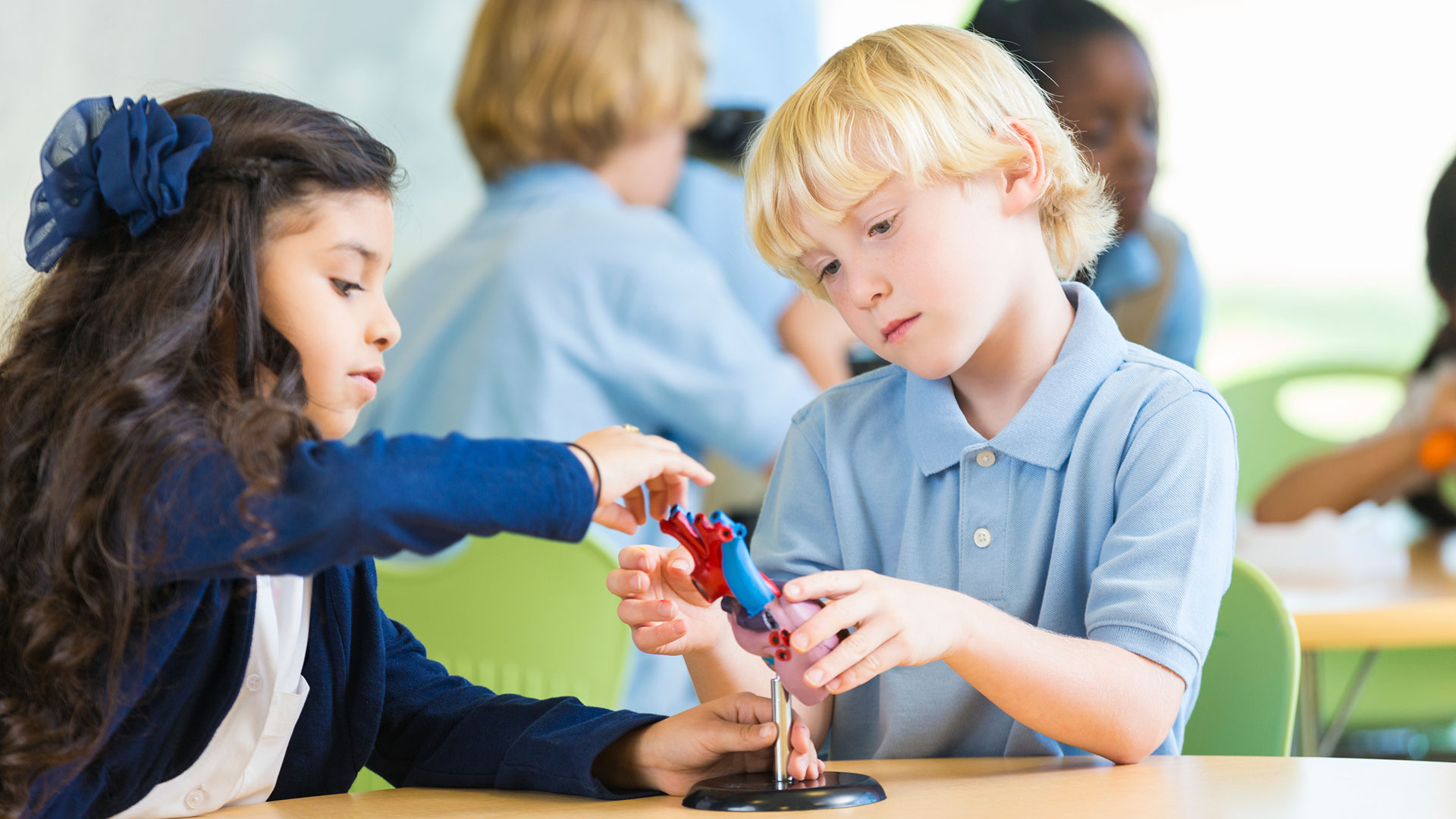 “Private Vouchers: A New Idea in Education Reform”