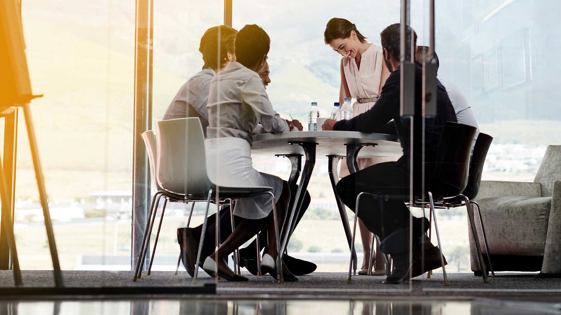The Meaning of Corporate Stewardship