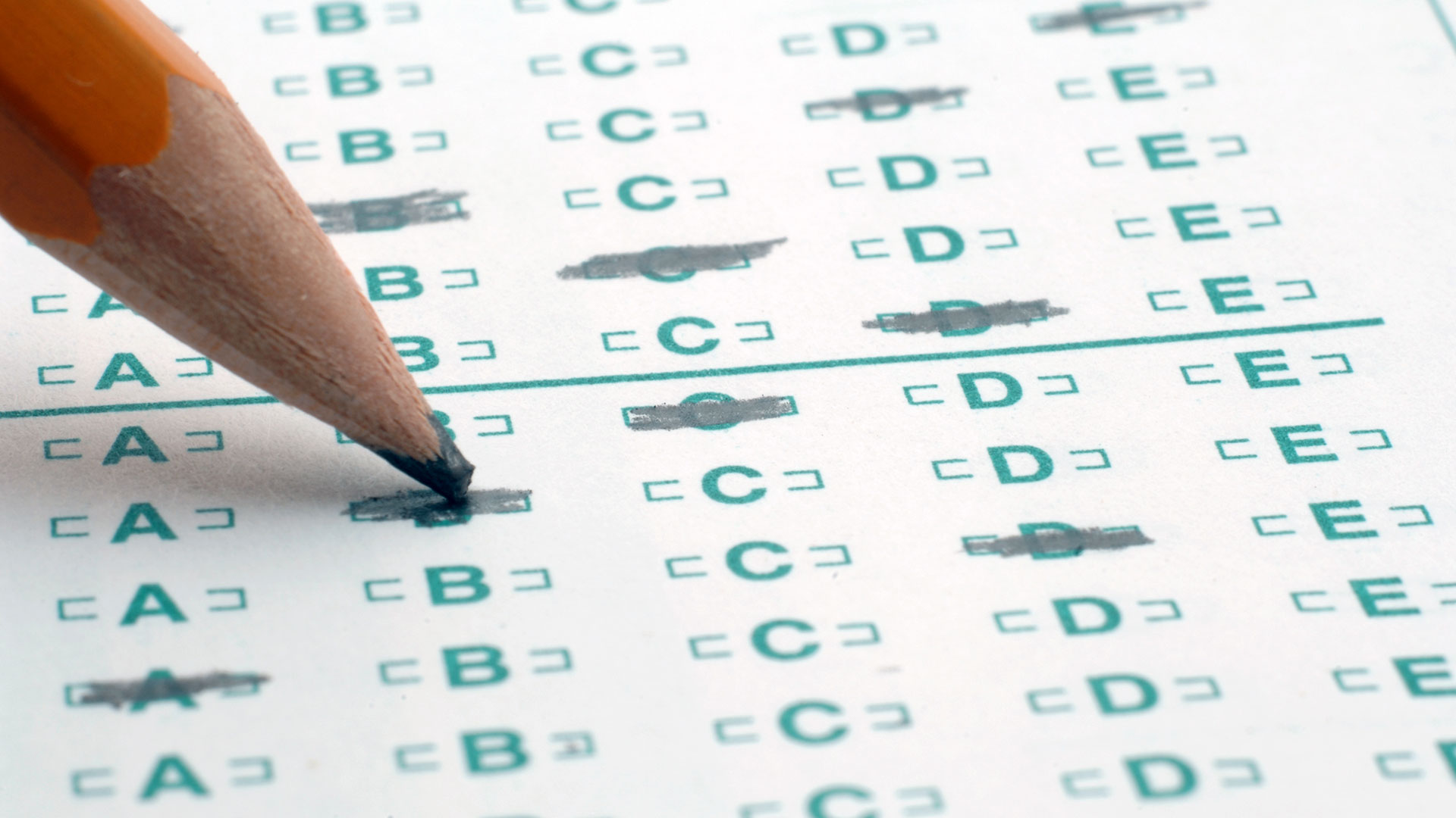 Minority Schools and the Politics of Education