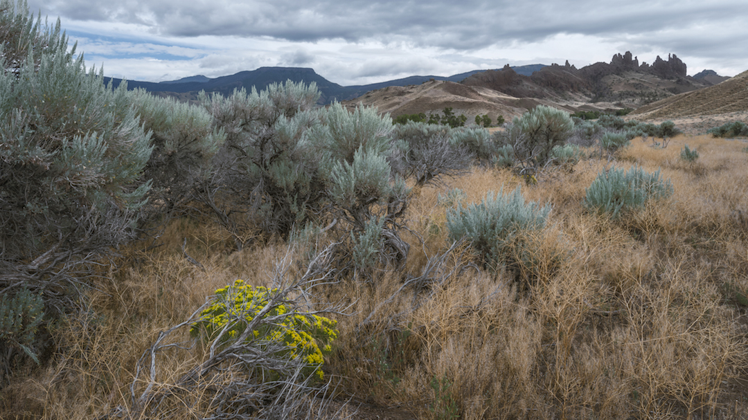 Sagebrush Rebellion Redivivus