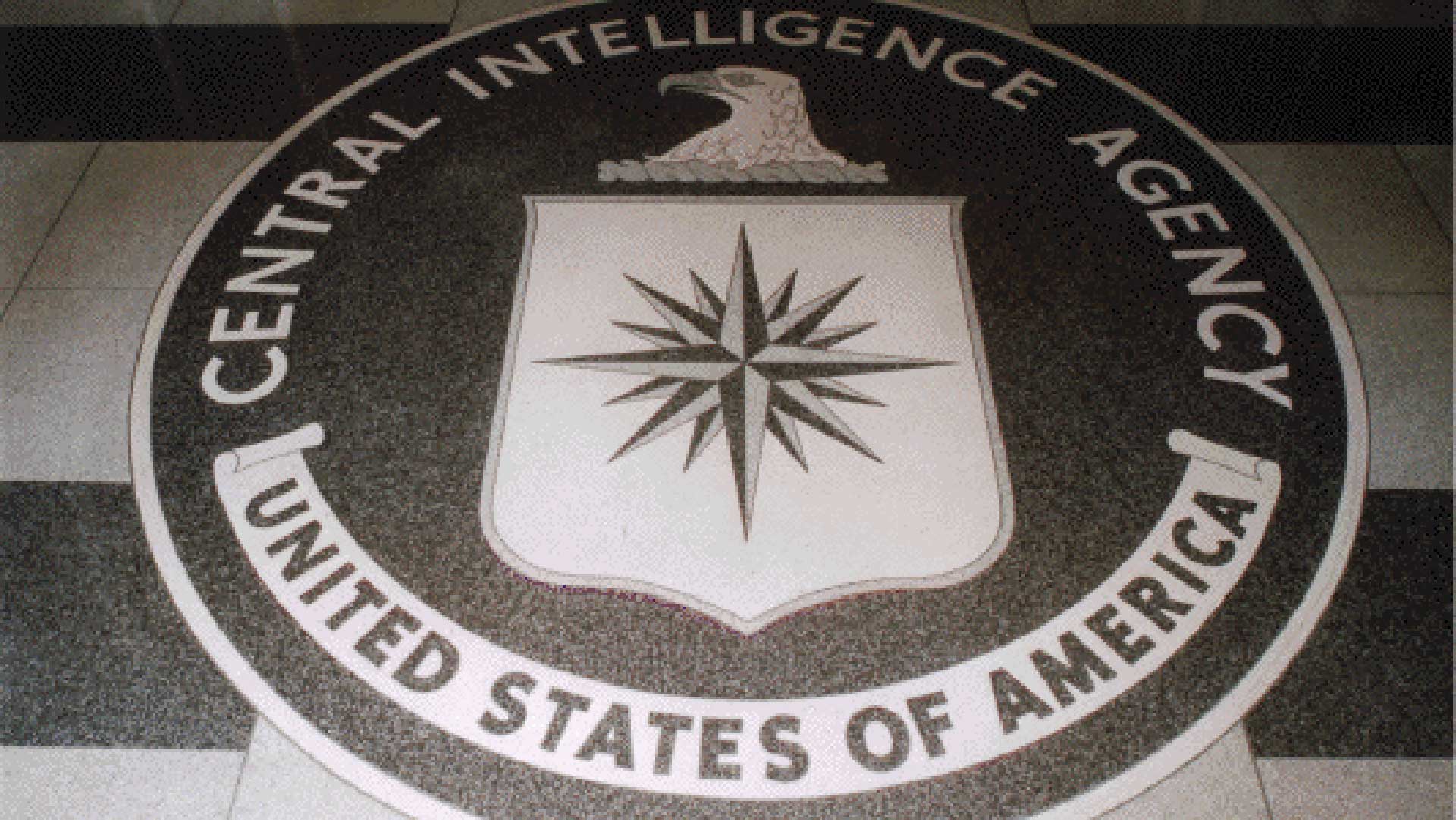 How Intelligence Works (When it Does)