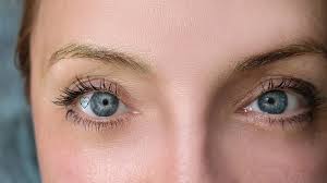 Who watches the Watchers?