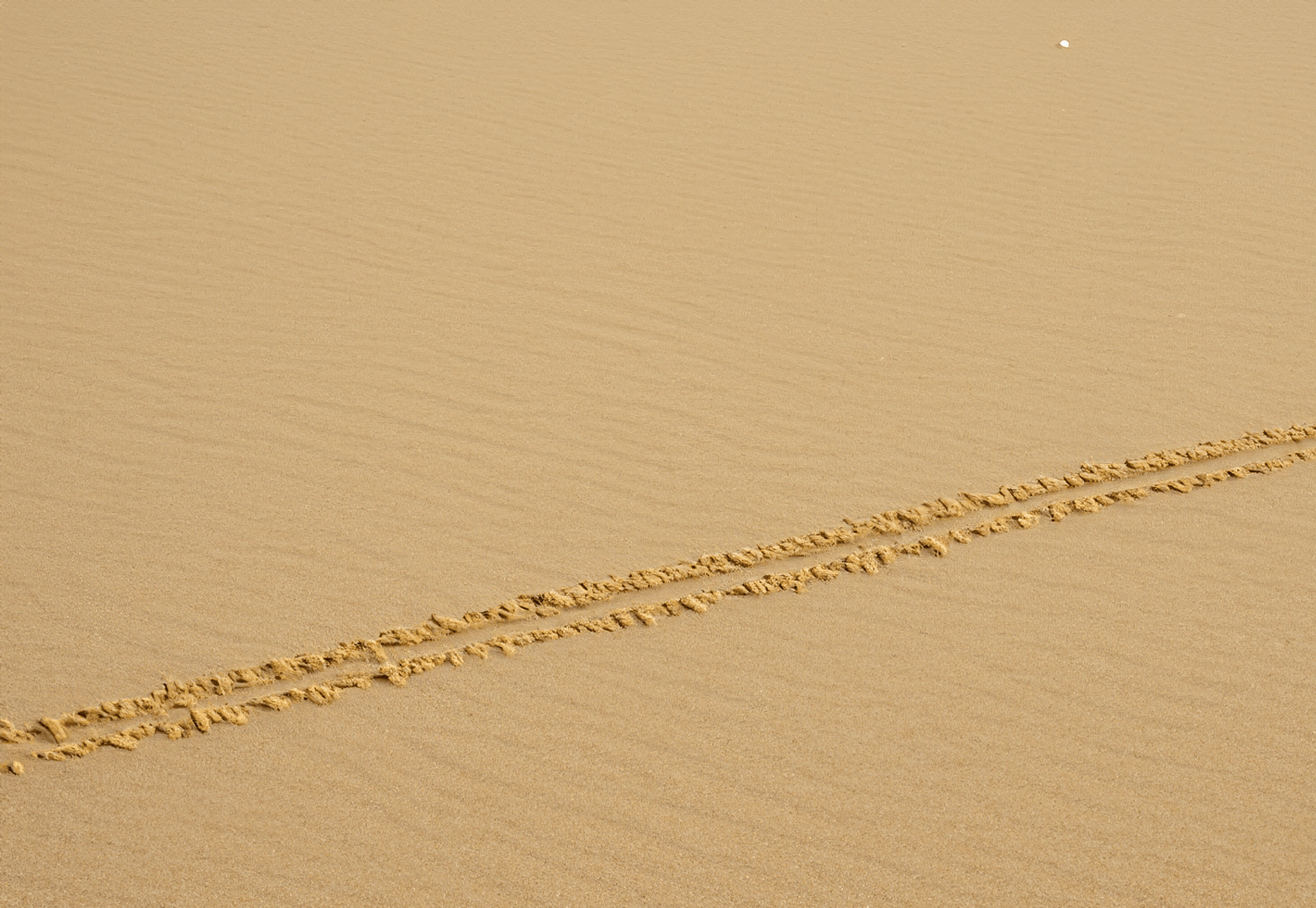 LETTER TO SENATOR SUSAN COLLINS