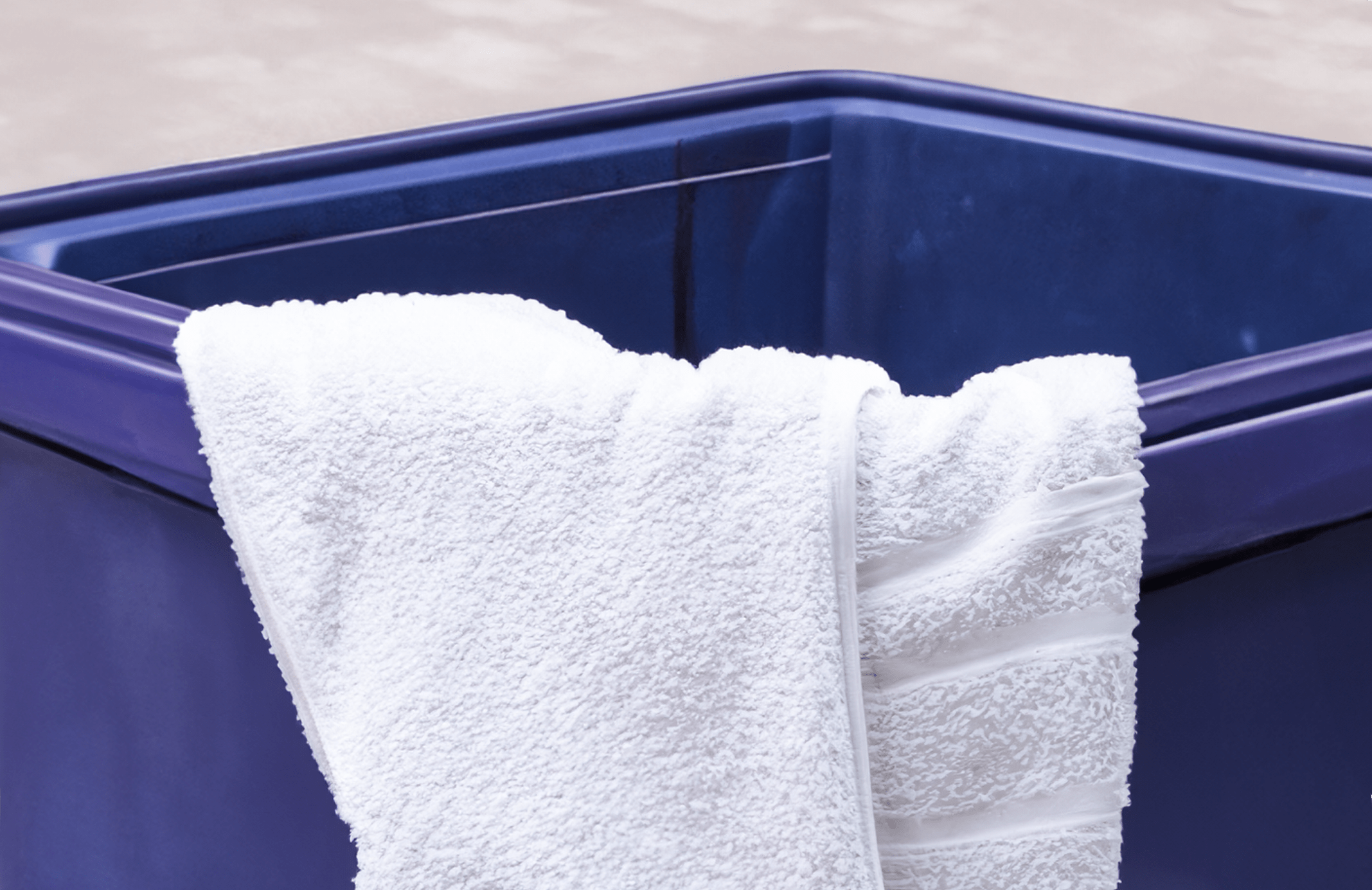 Throw In The Towel into a blue trash bin