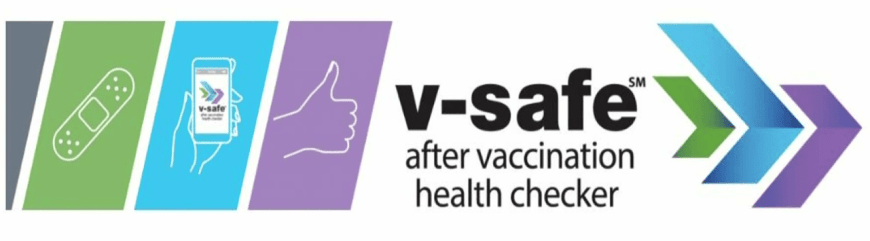 V-Safe Surveillance Logo