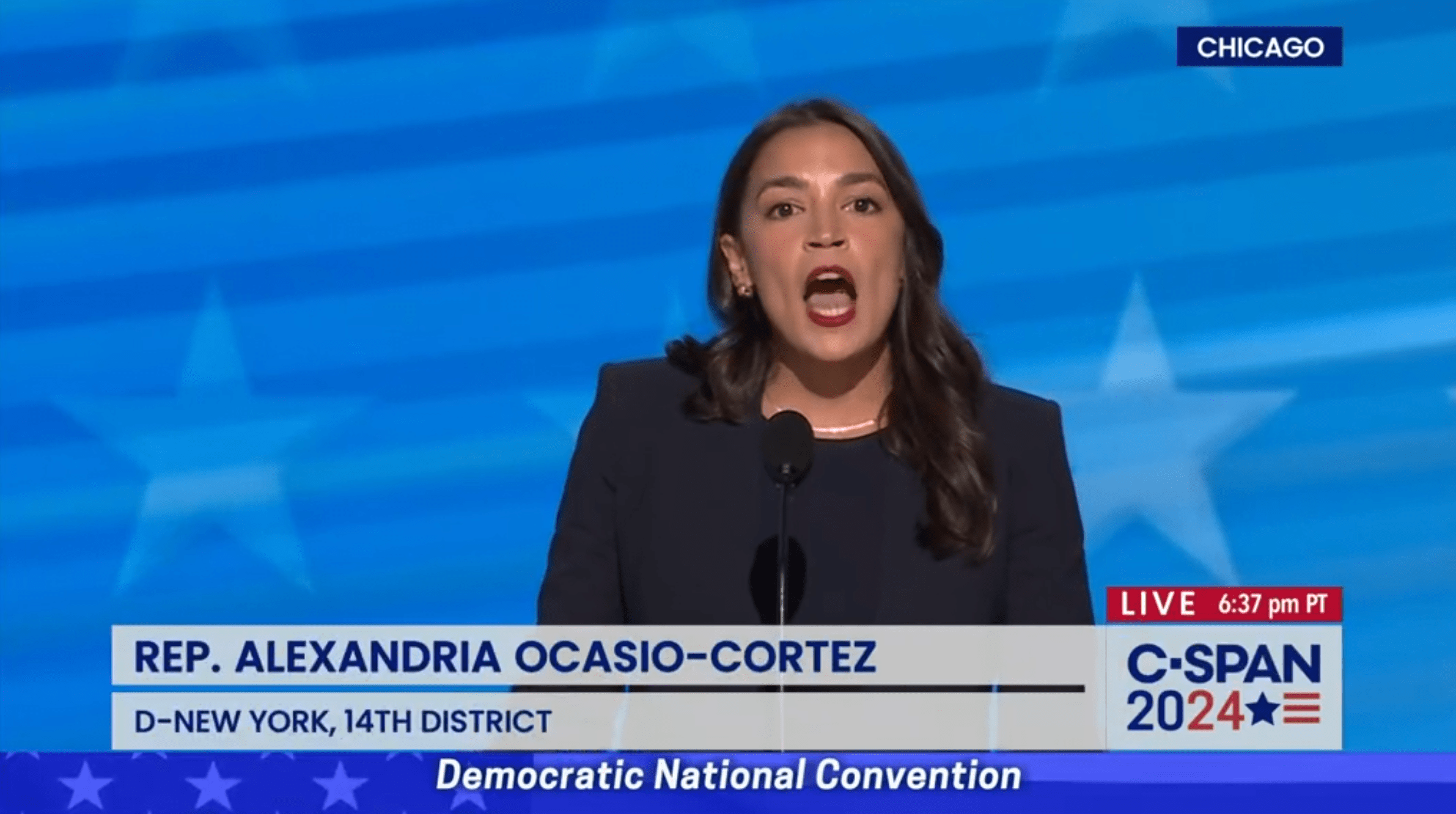 Democrats’ Platform Promises Mass Amnesty, Path to Voting for Illegal Immigrants – The Maine Wire