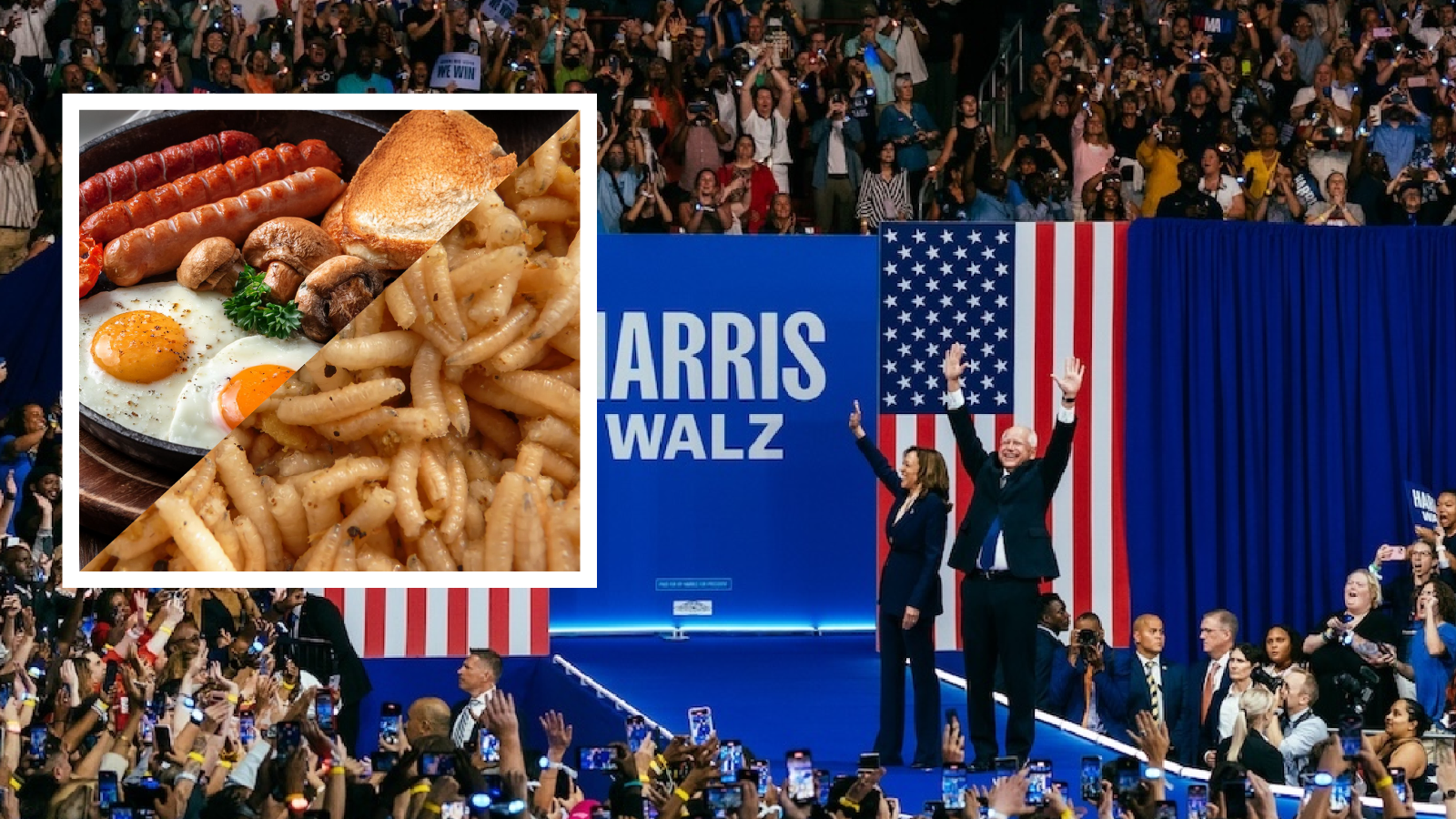 Maggots Found in Democrats’ DNC Food: FBI – The Maine Wire