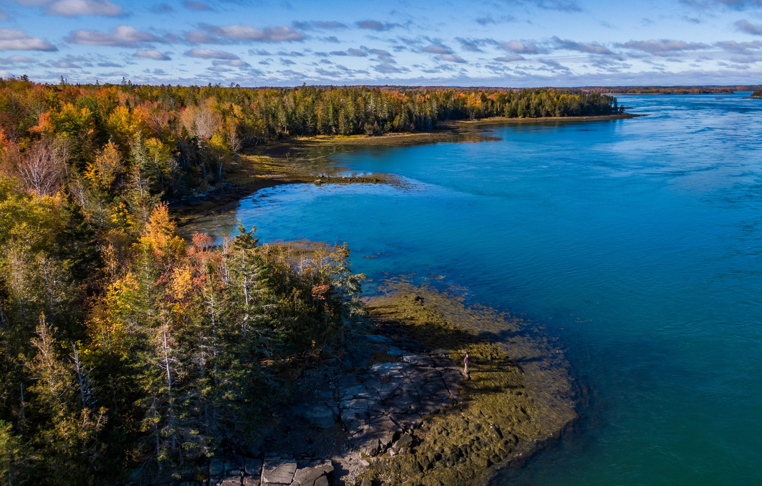 Kentucky Man Found Dead at Cobscook Bay State Park Had Multiple Firearms, Suppressors