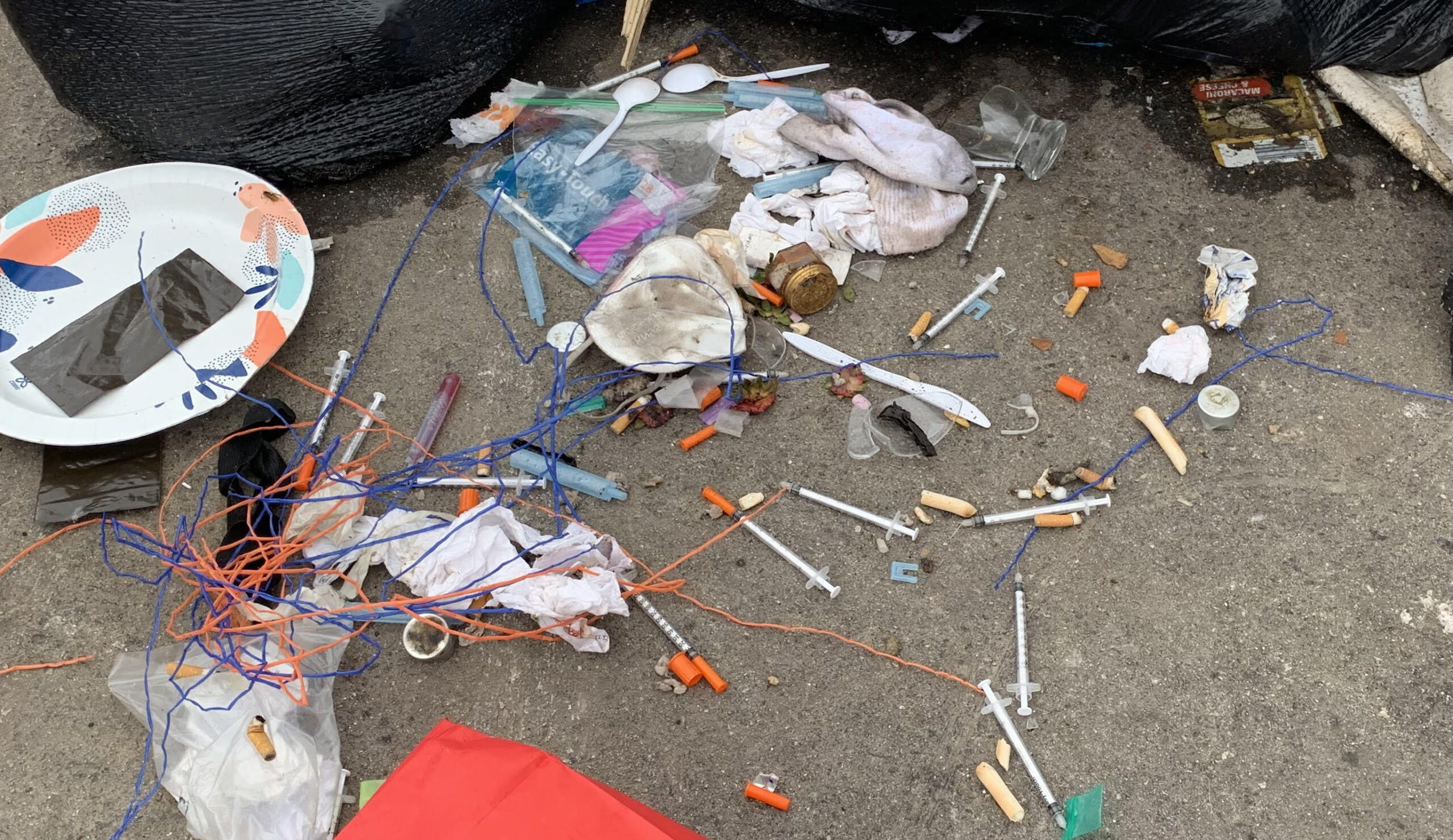 ‘They’re not gonna jump up and bite ya’: Socialist Portland City Councilor Claims ‘no public health risk’ Caused by Used Heroin Needles