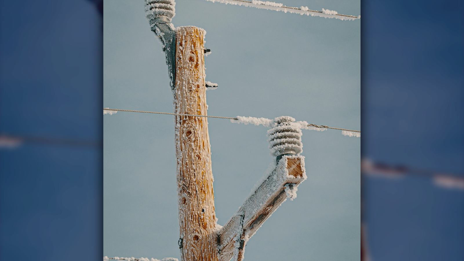 Electricity Maine to Refund 20,000 Customers, Pay $315,000 Fine Over Unfair Billing Practices