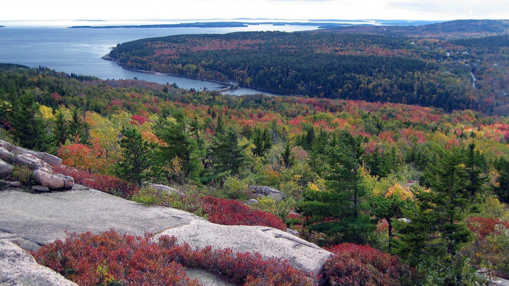 Demographic Characteristics Seemingly Strong Predictors of How Mainers Will Vote in November: Digital Research Report