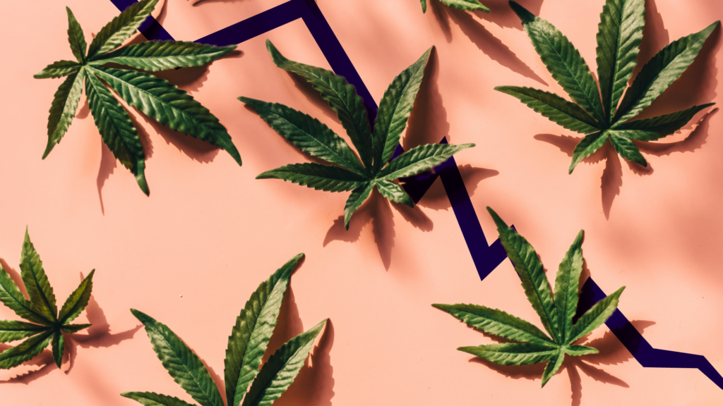 “Fire John Hudak”: Maine’s Cannabis Businesses Gather in Augusta on Eve Legislative Session