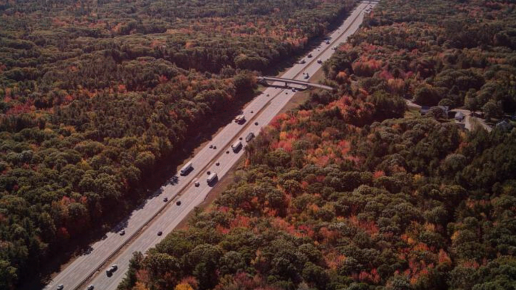Tractor Trailer Kills Two on Maine Turnpike