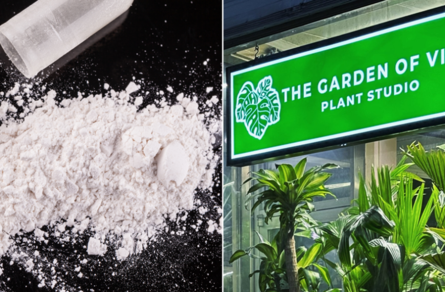 Hey, That’s Not Miracle Grow: Owner of Lewiston Plant Nursery Charged…