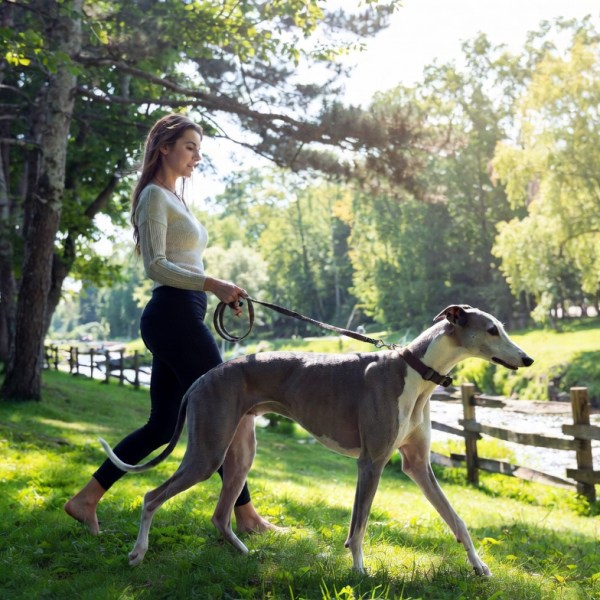 Maine Midcoast Town Cracks Down On Dog*hit,&hellip;