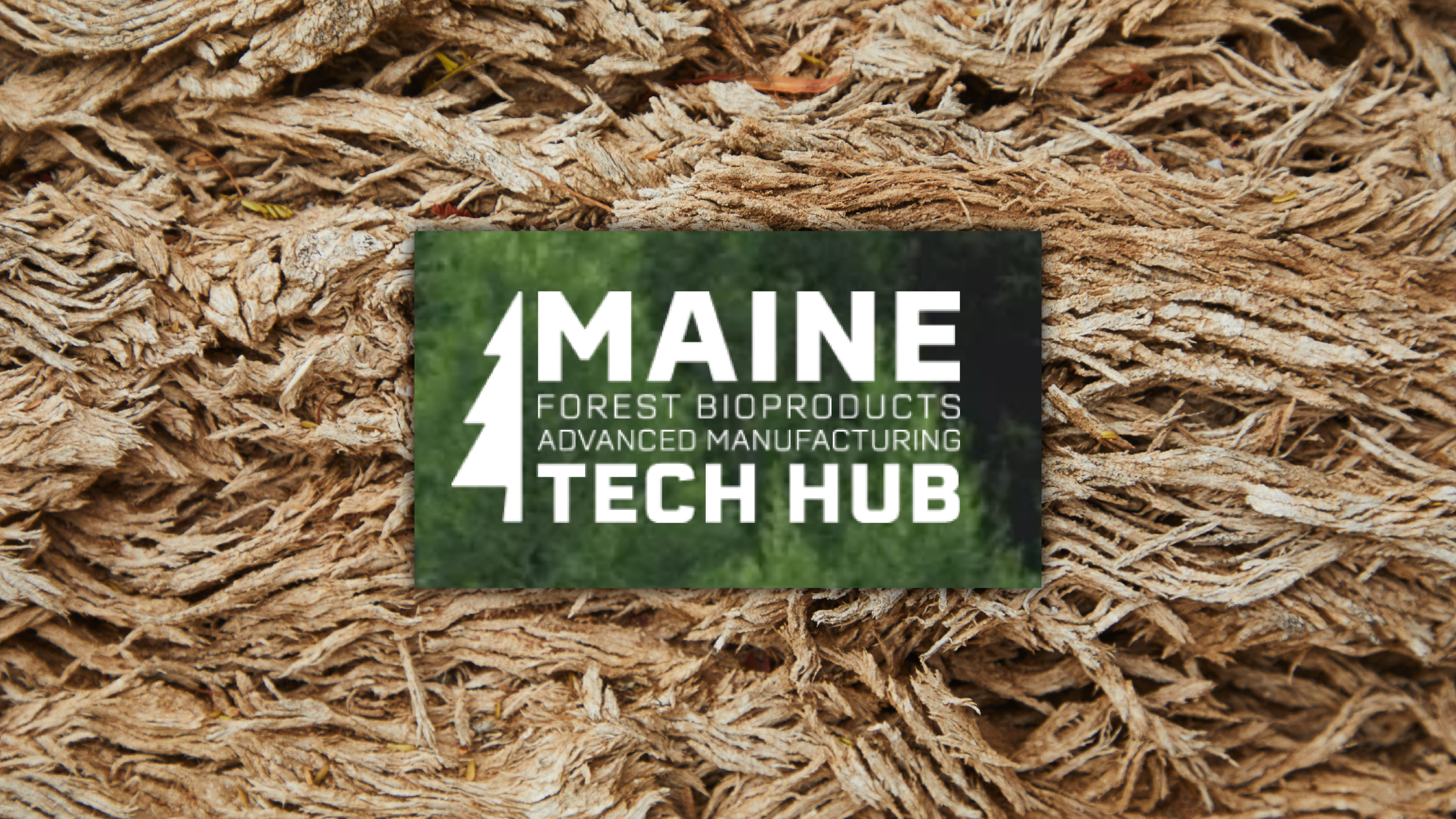 Forest Bioproducts Advanced Manufacturing Tech Hub Awarded $20M in Federal Funding